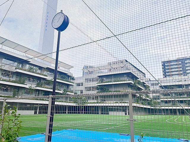 周辺 パークタワー勝どきサウス 51階/-