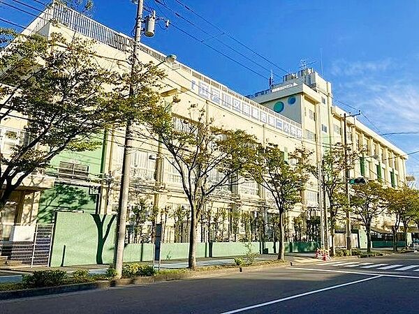 周辺を拡大表示