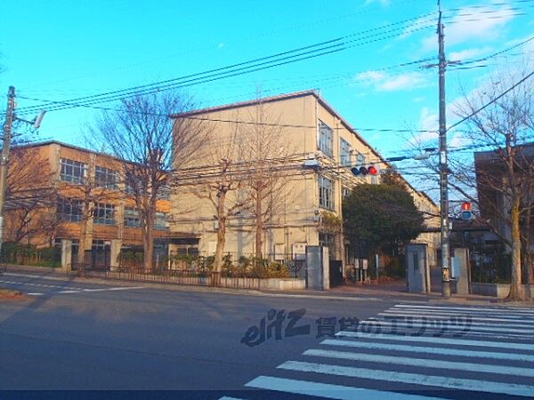 画像7:加茂川中学校まで1700メートル