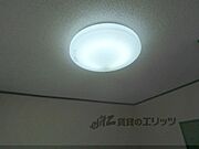 照明