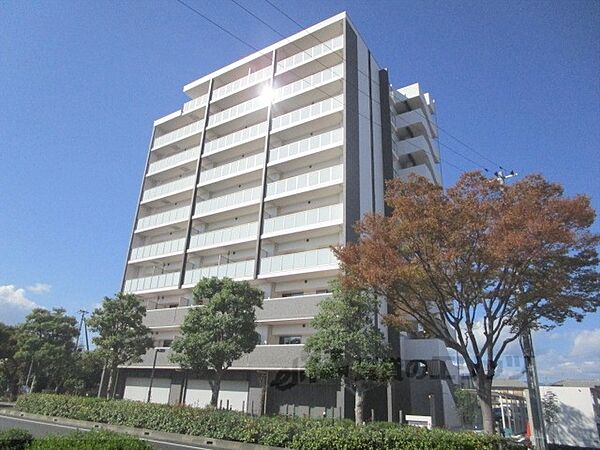 滋賀県草津市野村5丁目(賃貸マンション3LDK・8階・80.47㎡)の写真 その11