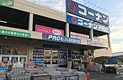 コーナンPRO高柳店 503m