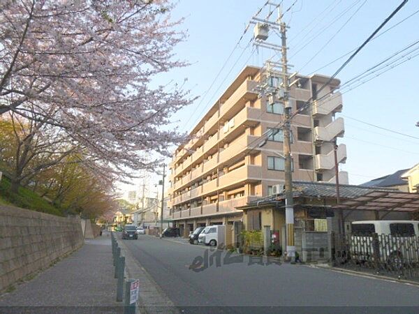 京都府京都市右京区西京極徳大寺団子田町(賃貸マンション2LDK・6階・52.48㎡)の写真 その12