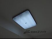 照明