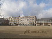 松陽小学校まで450メートル
