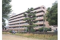 京都府京都市南区上鳥羽勧進橋町：物件画像／株式会社エリッツ　宇治小倉店