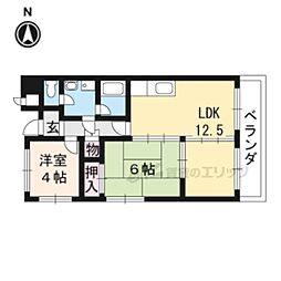 ロイヤルオーク 207