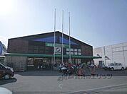 新鮮激安市場！　醍醐店まで600メートル