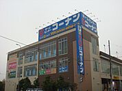 ホームセンター