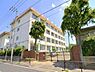 周辺：奥戸中学校奥戸中学校 320m