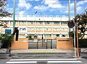 住吉小学校住吉小学校 520m