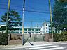 周辺：小岩第三中学校小岩第三中学校 730m