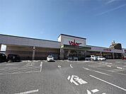 バロー 新守山店（スーパー）（1000m）