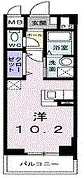 プラチナコート