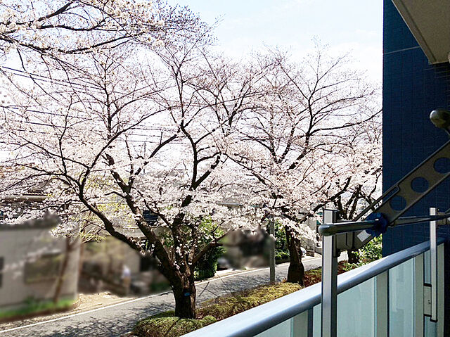 間取り 久我山ガーデンヒルズ二番館 2階/-