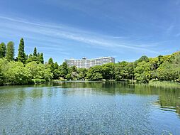 物件画像 メゾン井の頭