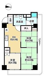 メロンむさし野