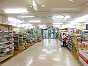 ダイソーヴェルミ大雄山店(742m)