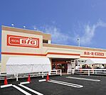 ザ・ビッグ小田原寿町店(460m)