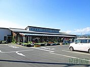 朝ドレファーミ(400m)