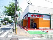 ヤオマサ鴨宮店(781m)
