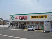 スギ薬局 堺新家町店（726m）