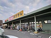 ジャパン 堺深井店（212m）