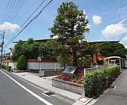 ハイツエンペラー下鴨泉の森 113