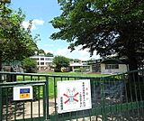 衣笠幼稚園まで700m