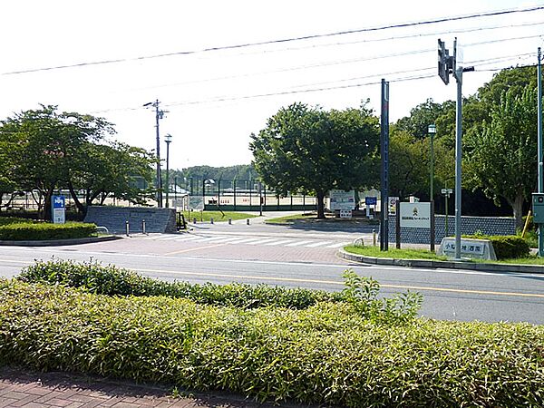 周辺を拡大表示