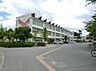 周辺：東海市立横須賀小学校（1700m）