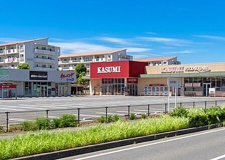 カスミフードスクエア西の原店 徒歩4分。 310m