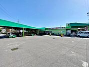 タチヤ 旭前店（295m）