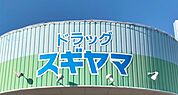 ドラッグスギヤマ 大治店（131m）