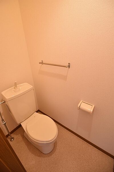 画像6:水洗トイレです。タオルホルダーも付いています。