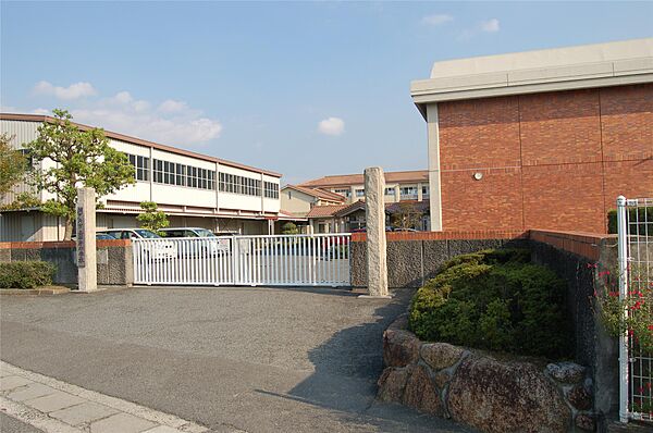 画像17:国府小学校(2、000m)
