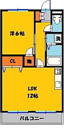 メゾンハシモト 1LDKの間取図画像