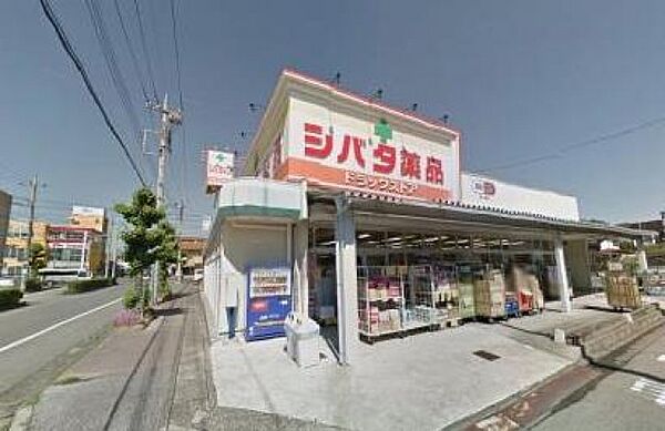 画像28:シバタ薬品住吉店(ドラッグストア)まで1089m