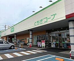 アンジュール　C 207号室 ｜ 栃木県下都賀郡壬生町至宝２丁目2-22（賃貸アパート1LDK・2階・33.39㎡） その25