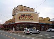 フードオアシスOTANI鶴田店(スーパー)まで603m