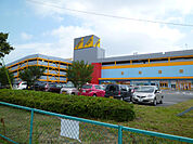 アピタ宇都宮店(スーパー)まで1365m