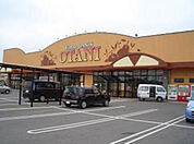 フードオアシスOTANI五代店(スーパー)まで394m
