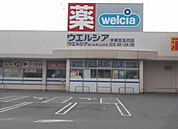 ウエルシア宇都宮駒生店(ドラッグストア)まで987m