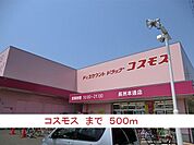 その他「コスモスまで500m」
