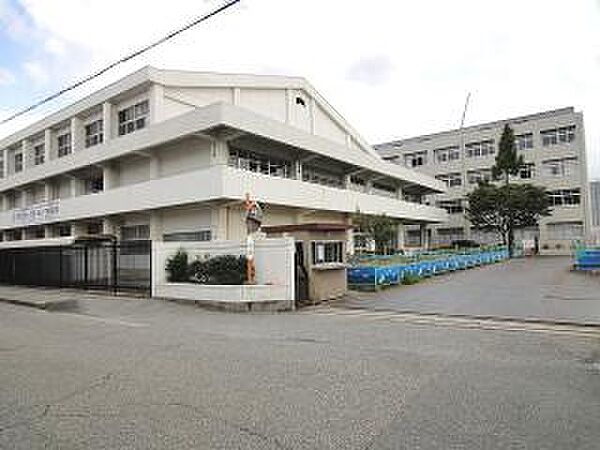 画像28:小学校「尼崎市立大島小学校まで807m」