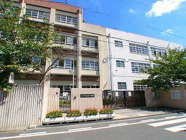 画像7:小学校「尼崎市立七松小学校まで619m」