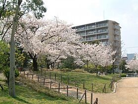 ジョイフル南塚口I号館 406 ｜ 兵庫県尼崎市南塚口町６丁目（賃貸マンション1K・4階・18.15㎡） その12