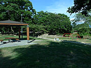 石手川土手(公園)まで400m