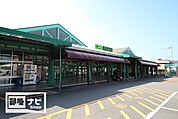 サニーTSUBAKI(スーパー)まで350m