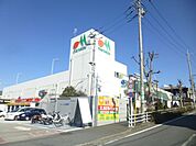 スーパー「マルエツまで790m」